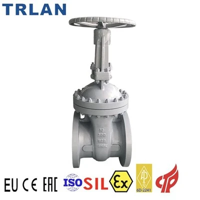 Api 600 Rooj vag Valve